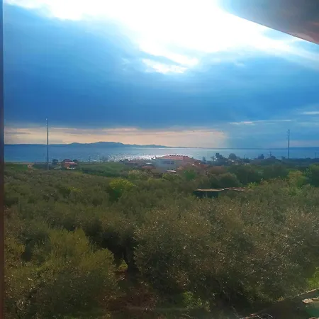 Kalelia * נאה פוטידאה