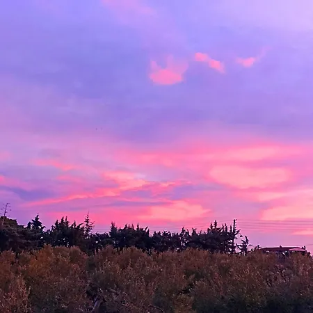 Kalelia * נאה פוטידאה