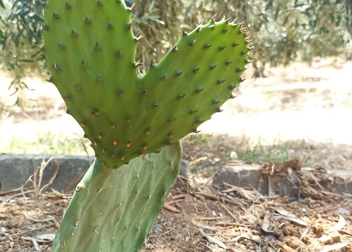 Lejlighed Kalelia Nea Poteidaia