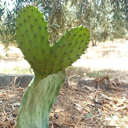 Apartment Kalelia Nea Poteidaia